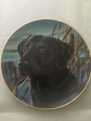 franklin mint labrador plates