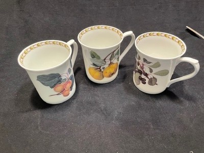 Queen's Hooker Fruit ''Royal Horticultural Society'' Tea cups set of 3