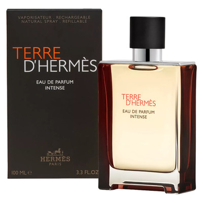 Hermes Terre D'Hermes 100ml Eau De Parfum Intense Herrenduft EDP für Ihn