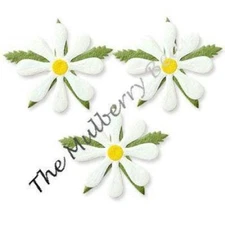5 Flowers flower daisy daisies White Handmade mulberry paper Card Scrapbooks