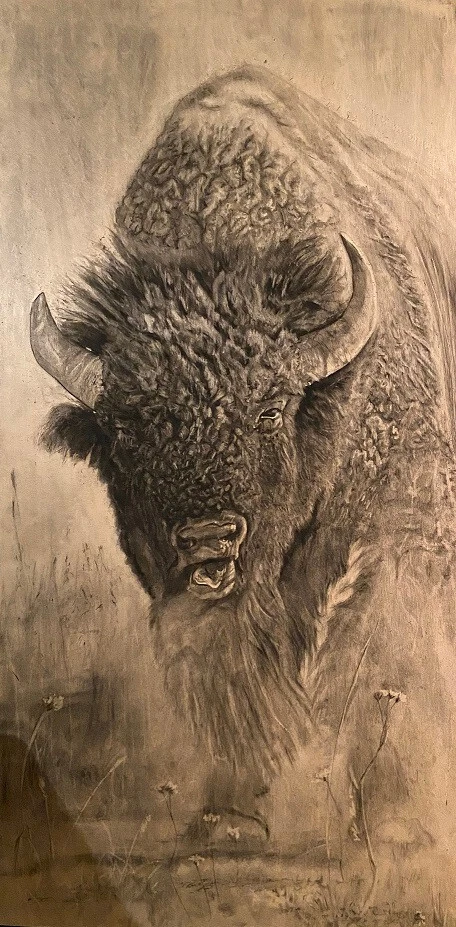 Bison Running Drawing