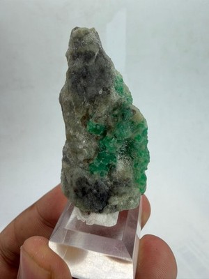 Smaragdkristalle auf Matrix mit Ständer / 30 Gramm