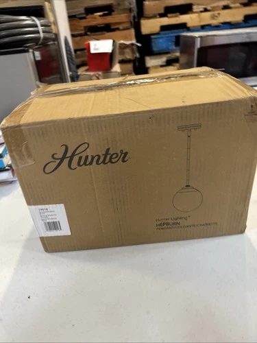 Hunter - Hepburn 1-light Modern Brass, Small Pendant Light, Dimmable, Modern - Picture 2 of 3