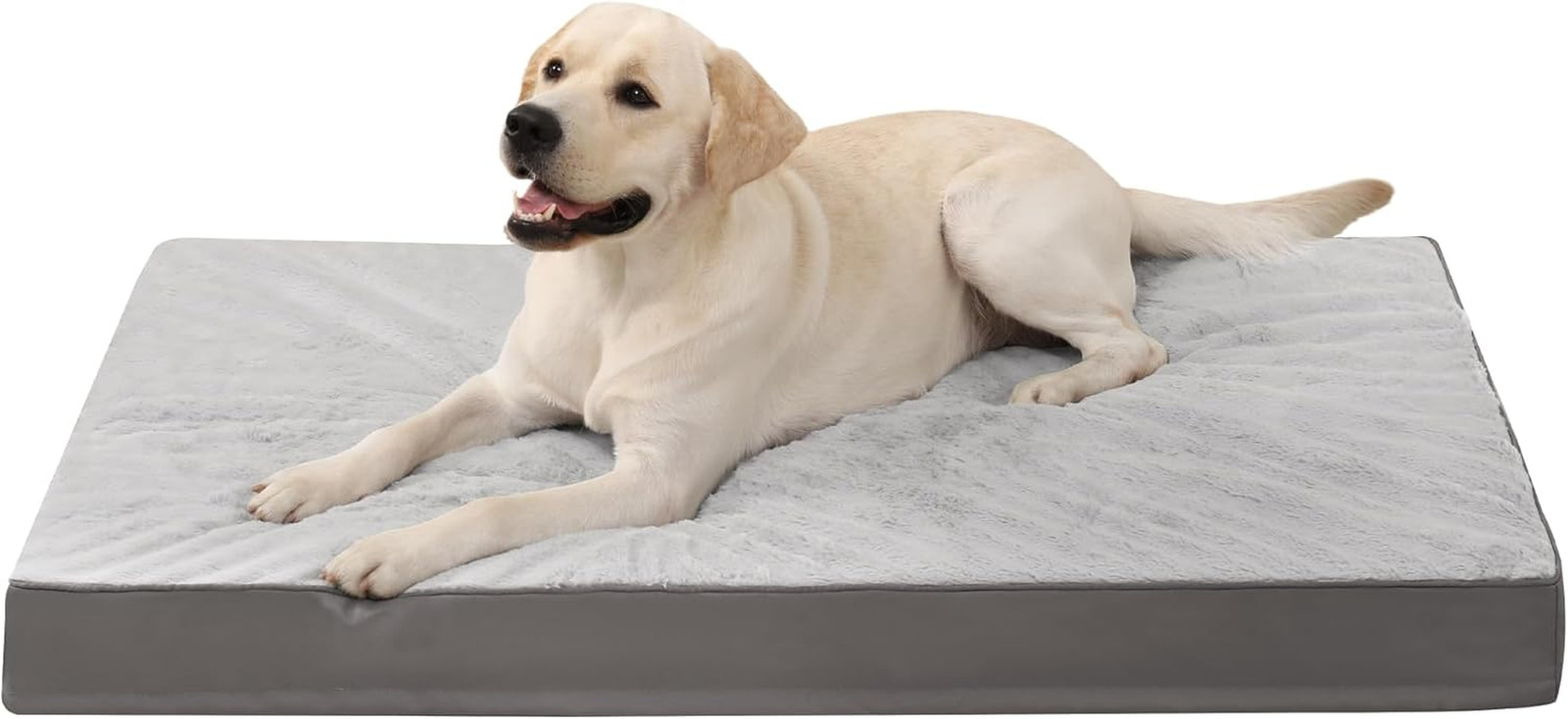 Cuccia Ortopedica XL per Cani Grandi - Supporto Articolare Reversibile
