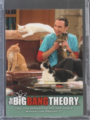 So You Decided to Get  2012 The Big Bang Theory Seasons Three and Four #45 