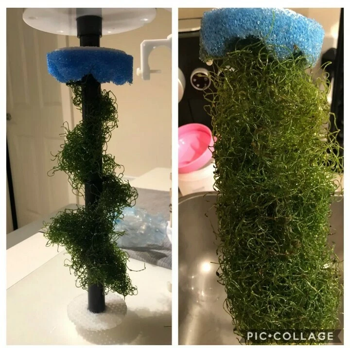 Phosphate Reactor 150 (660l) Full Kit. Sand, nitrate, algae, purigen. - Image 3 of 4