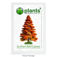 Southern Bald Cypress Tree | Premium Seeds | Taxodium distichum 'Fall' | Plants'