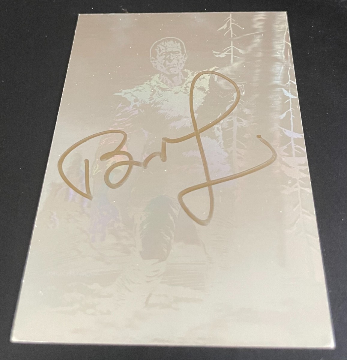 【専用】沼/Swamp: Seb McKinnon アートプリント　サイン証明書 専用】沼/Swamp: Seb McKinnon アートプリント サイン証明書 - メルカリ