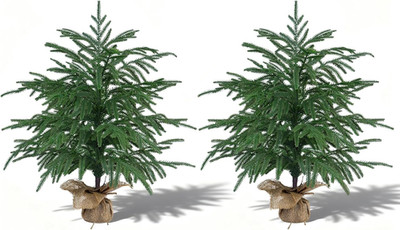 2FT Artificial Norfolk Pine Tree, 2Pcs Faux Potted Plants | Artificial Christmas
