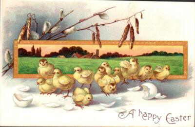 Cute Freshly-Hatched CHICKS, PUSSY WILLOWS On Beautiful Vintage EASTER Postcard