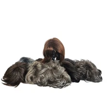 Mixed Brands 10 Count Shoulder And Above Length Wigs