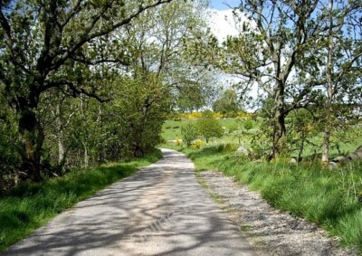 Foto 6x4 von Bäumen gesäumte Straße Milton von Campfield von der A980 nach Gallowcairn. c2010