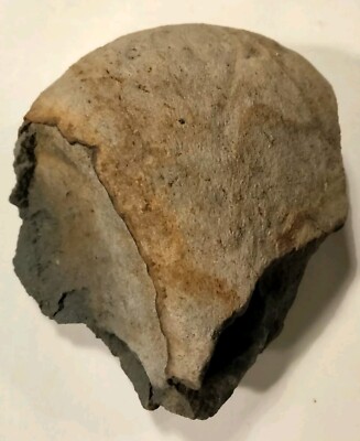 Prehistoric Paleo-American, stone art, fossilized egg sculpture, multi-tool.