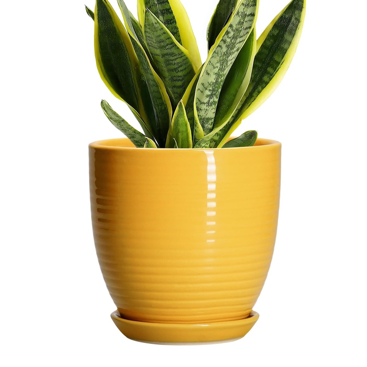 Ceramic Pots for Plants - 6 Inch Plant Pot for Indoor Plants, Ceramic  Planter... | eBay