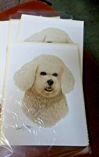Bichon Blank Greeting/Note Cards w/envelopes  Set of 6