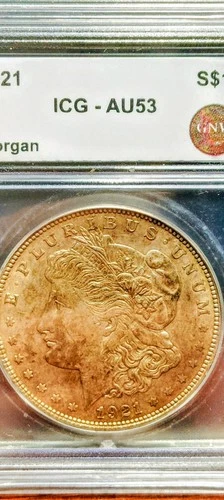 1821 NY 5 Borough's PROHIBITION ERA Morgan SILVER Dollar JAZZY TONE BEAUTY AU53