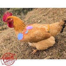 HOUGXD Yellow Chicken Saddle Hen Apron Feather Protector