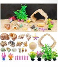 Calofun Hermit Crab Shell Large, Medium and Small Natural Growth Turbine