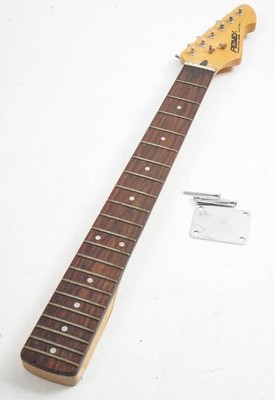 Peavey Raptor 21 Bünde E-Gitarrenhals geladen