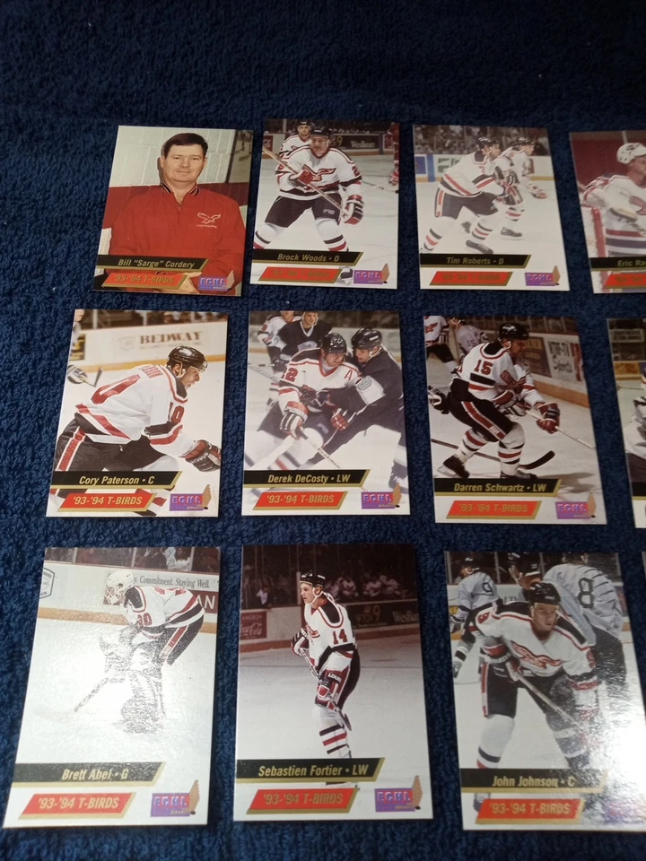 1993-94 Wheeling Thunderbirds Trading Card Set - Image 2 of 4