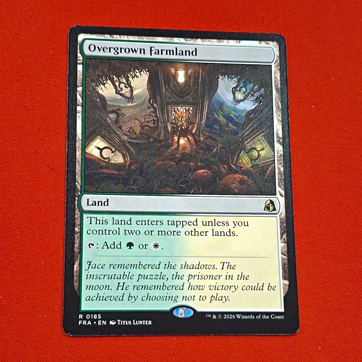 Land Magic: The Gathering Individual Trading Card Games in French