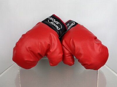 DENNY SPORT Junior Kinder Boxhandschuhe Handschuhe Training Sparring Heimtraining