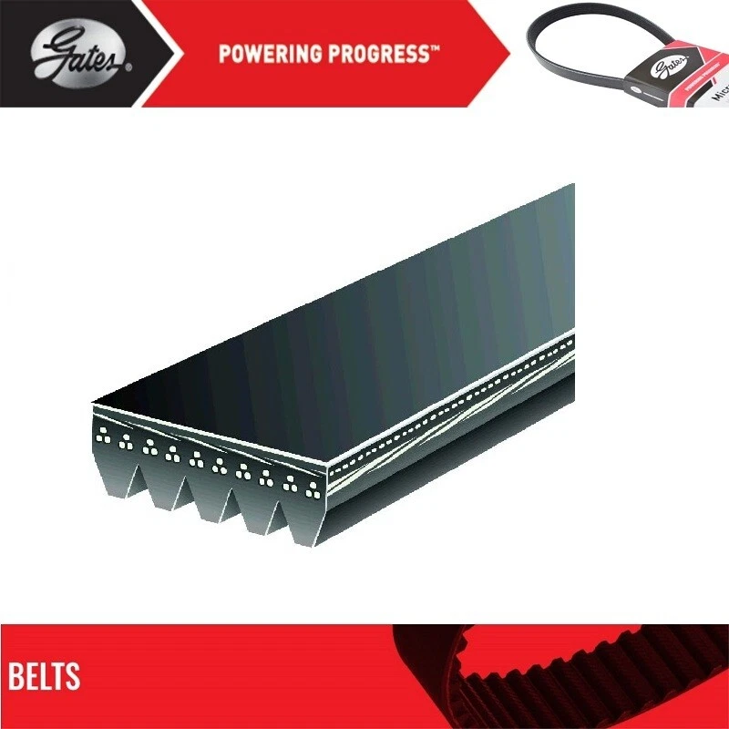 GATES OE Micro-V Belt For 2014-2016  AUDI R8  V10-5.2L Foto 2 de 4