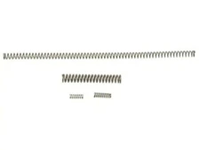 Wolff Spring Tune Up Spring Kit  XP Recoil Spring Ruger® 10/22®