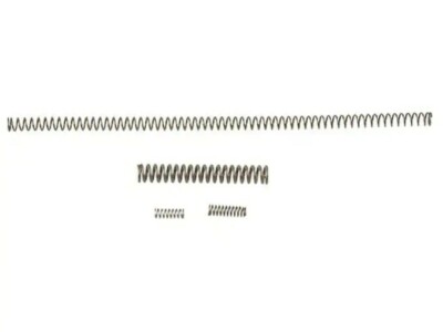 Wolff Tune Up Spring Kit  XP Recoil Spring Ruger  10/22 