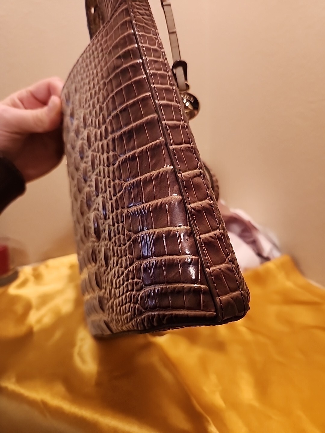 Brahmin Katie - image 12