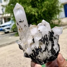 1.42LB Natural White Crystal Backbone Cluster Black Mineral Mud Specimen