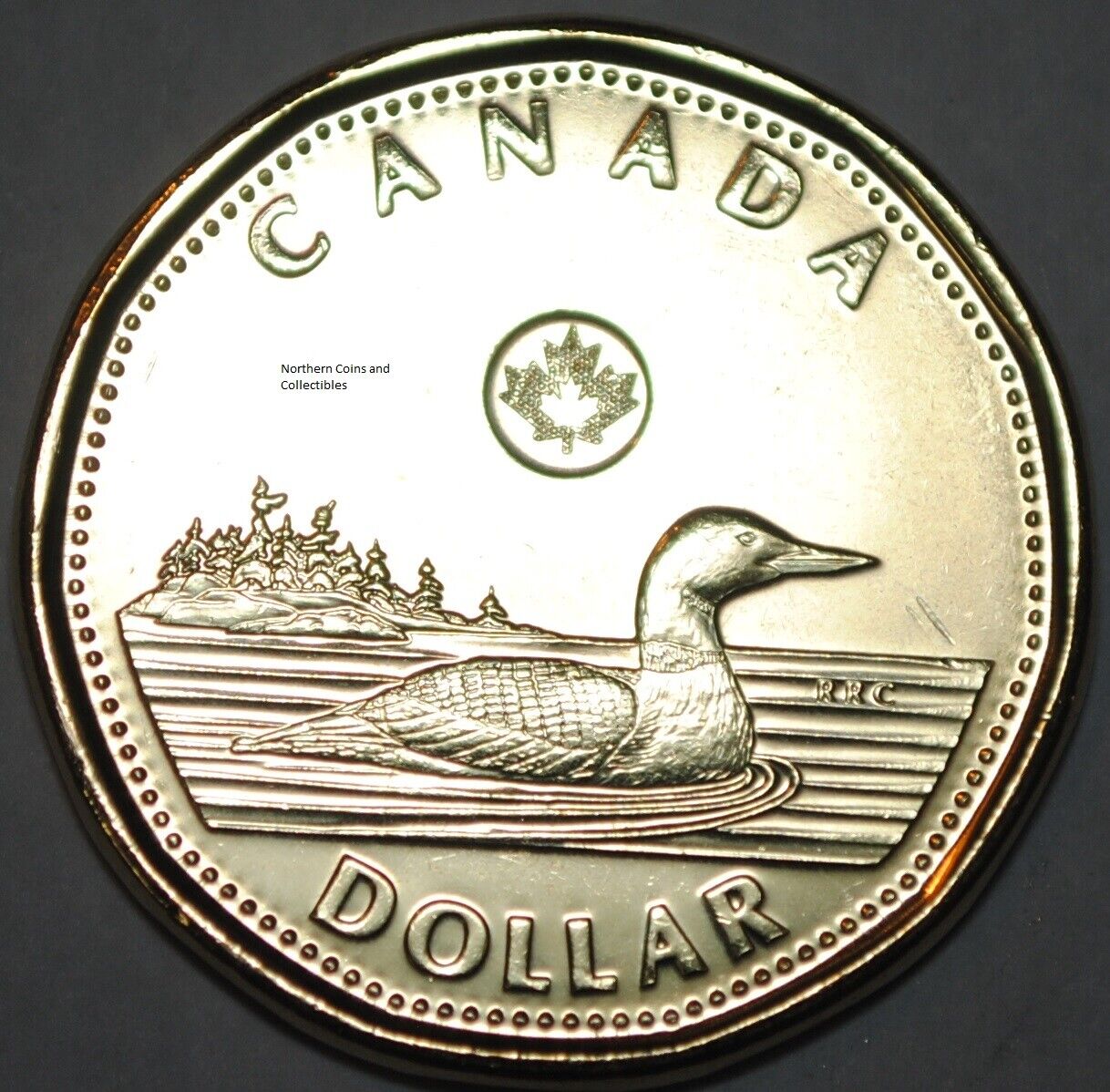 Canada 2016 BU 1 Dollar Canadian Loonie from mint roll
