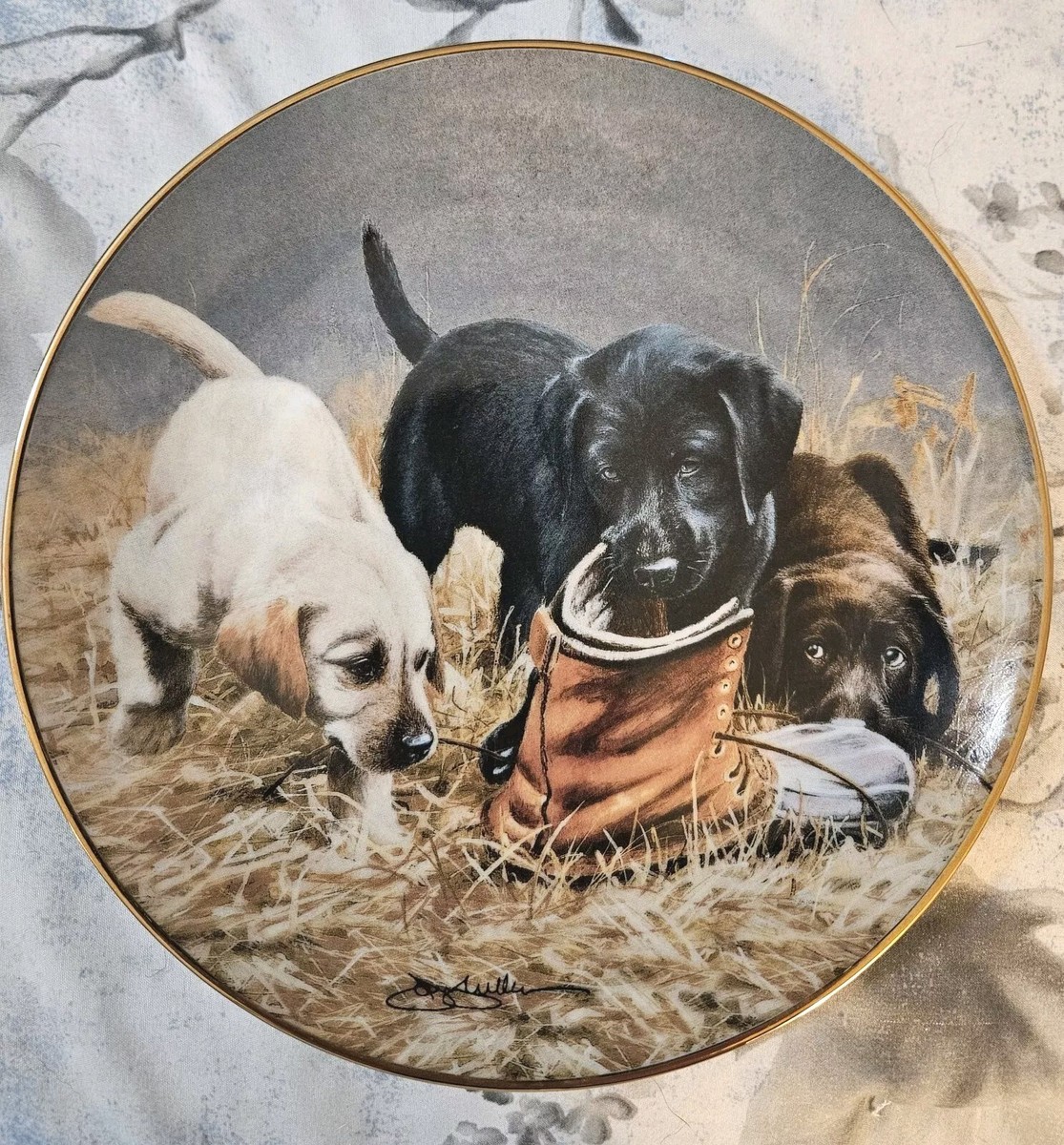 Franklin Mint Limited Edition -