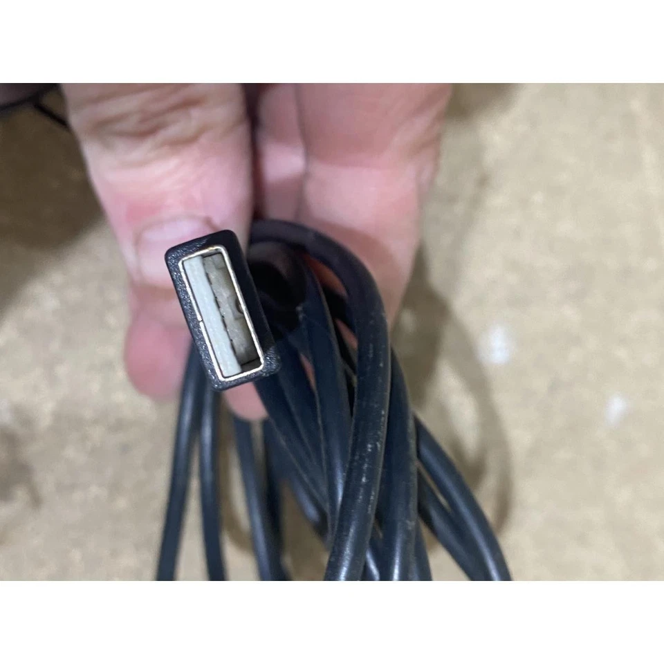 HP 265986-003 Optical Mouse Black Wired USB 2-Button Scroll Wheel for Desktop PC - Image 4 of 4