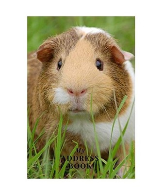 My Address Book: Cute Guinea Pig | Address Book for Names, Addresses, Phone Numb