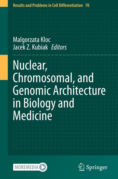 Nuclear, Chromosomal, And Genomic Architecture In Biology And Medicine | Buch |-image