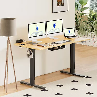 FlexiSpot Erogonomic Home Office Height Adjustable Standing Desk Bamboo Desktop