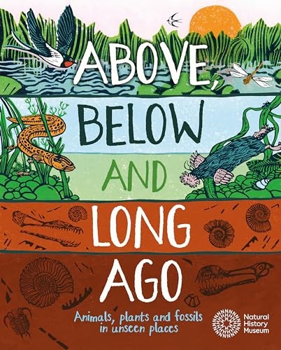 Above Below and Long Ago by Michael Bright PAPERBACK - Image 2