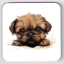 Peeking Peeping Brussels Griffon Image Coaster, Brussels Griffon Picture Coaster
