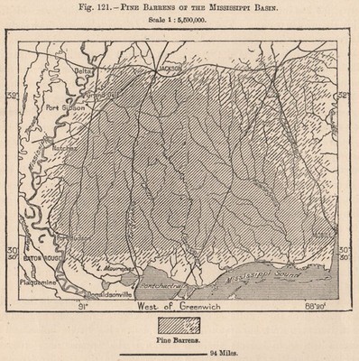 Pine Barrens of the Mississippi Basin. USA 1885 alte antike Landkarte Plan Chart