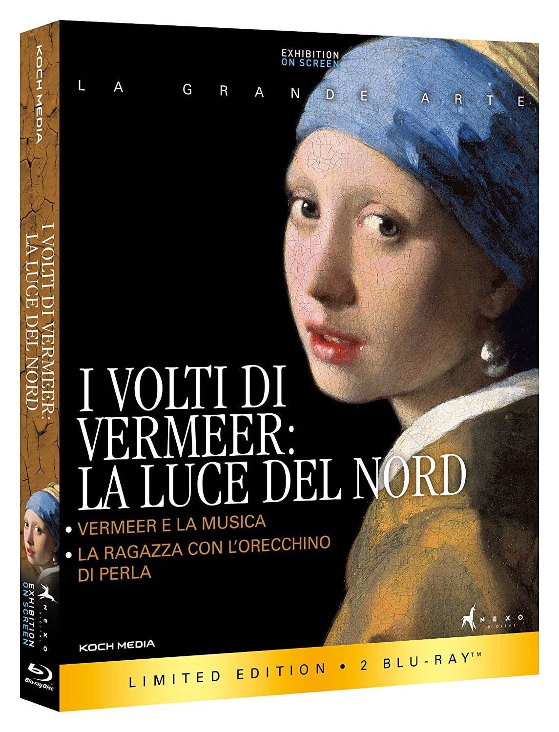 I VOLTI DI VERMEER (BR)