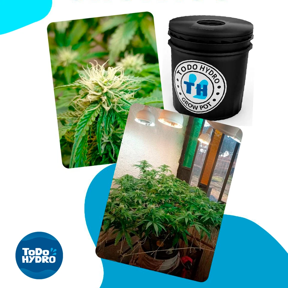 Grow Pot Original 5gal x4 DWC Hydro Bucket Kit with Air Pump, Nutrients & More - Image 2 of 4