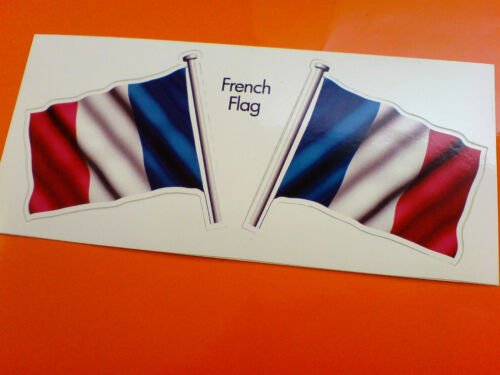 FRENCH Flag & Pole France Motorcycle Van Car Bumper Stickers Decals 2 off 60mm - Picture 1 of 1