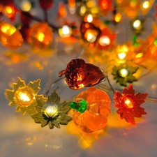 Thanksgiving Decor Lights 16.7Ft 50 LED 3D Pumpkin Acorn Maple Leaf Fairy String