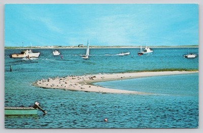Gull Island Chatham Cape Cod MA Postcard - Lazarus Photo Fishing Pier Boats