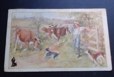 VINT. USED POSTCARD - WEAR ''WALK-OVERS'' AND ''SHOO'' AWAY FOOT TROUBLES - CREASED