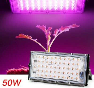 grow light spotlight