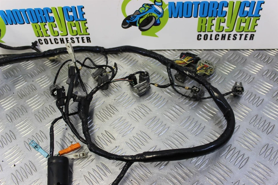 Honda CBR 1000 RR Wiring Harness Main Fireblade 2006 2007 CBR1000RR B146 Foto 2 de 4