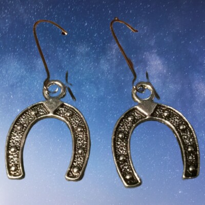 Glückshufeisen Design Ohrringe Glücksgeschenk Geschenk Sammlerstück Q263