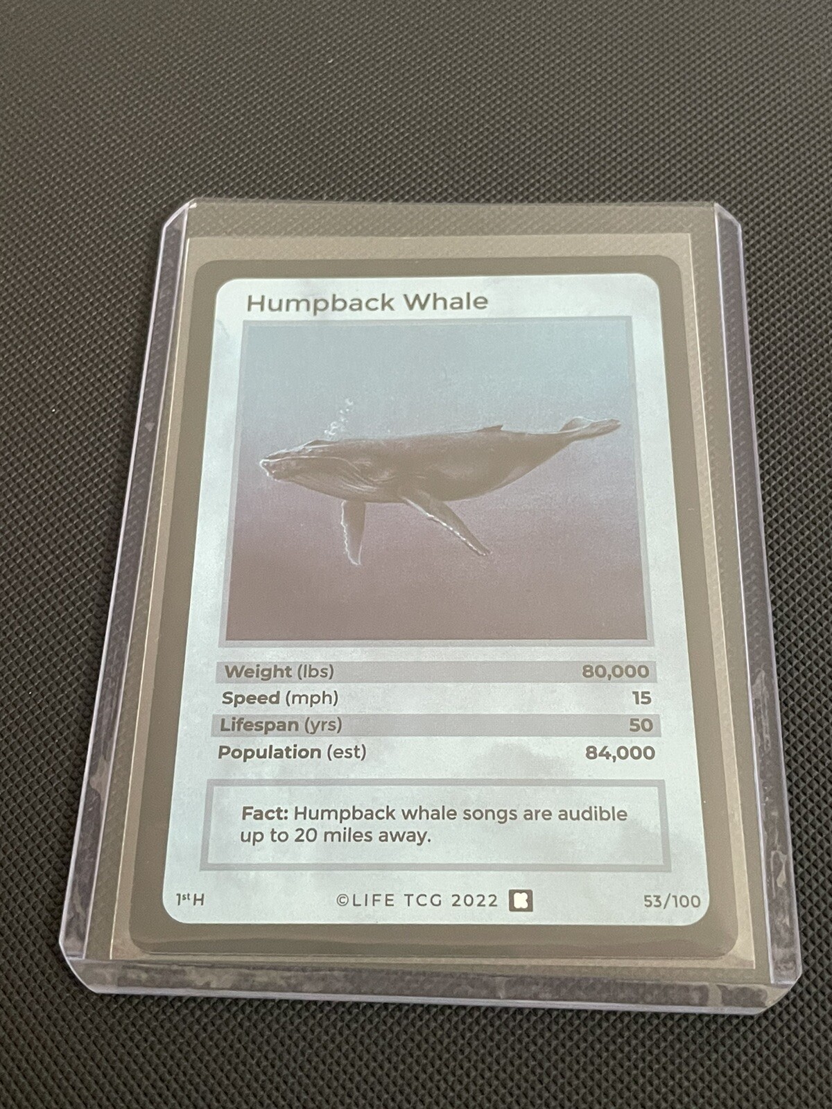 Life Trading Card Game “Kickstarter” Holographic 53 Humpback Whale eBay